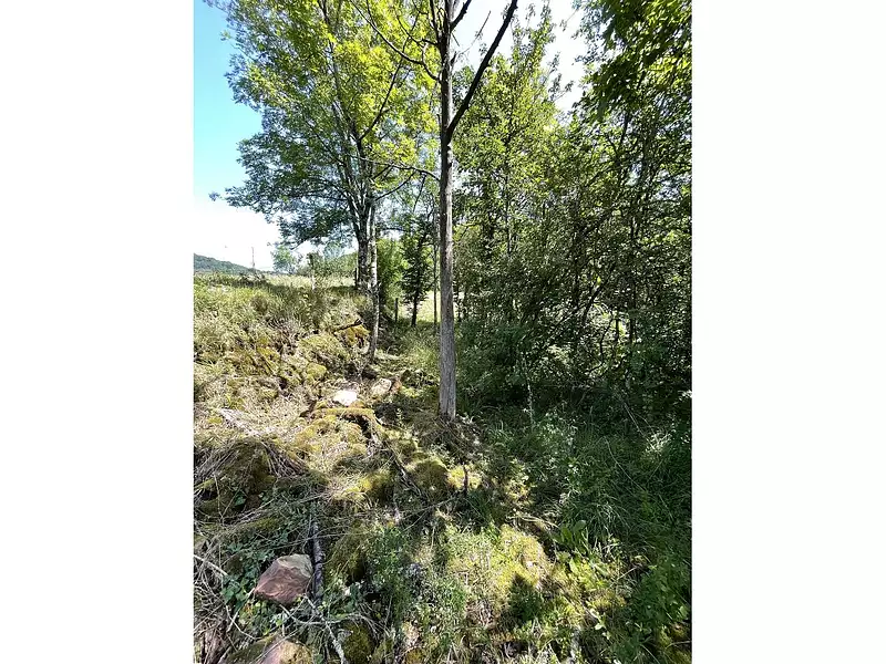 Terrain, 665 m²