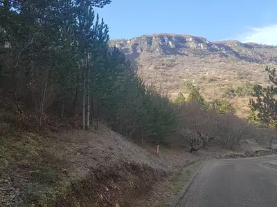 Terrain, 19 793 m²