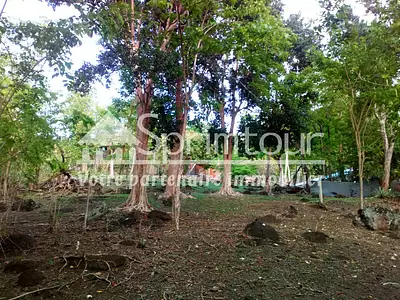 Terrain, 2 983 m²