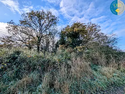 Terrain, 1 716 m²
