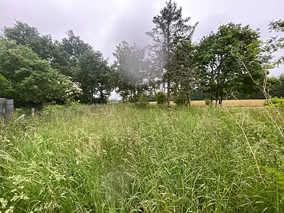 Maison, 56 m²