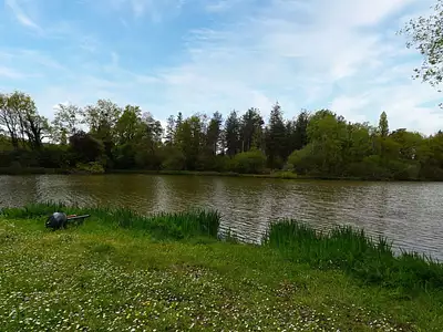 Terrain, 96 738 m²