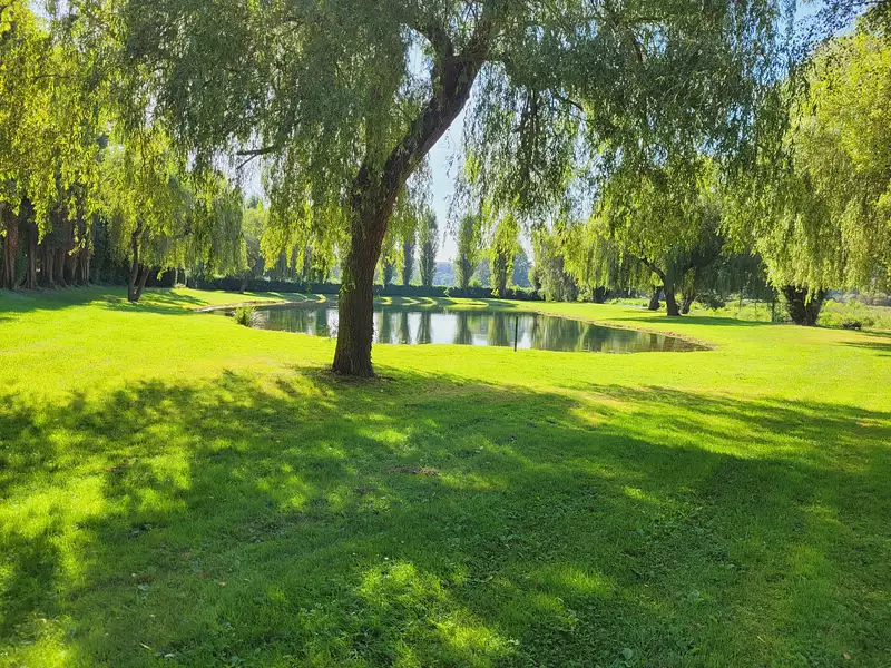 Terrain, 7 450 m²
