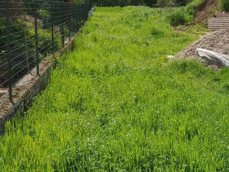 Terrain, 1 061 m²