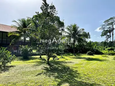 Immeuble, 254 m²