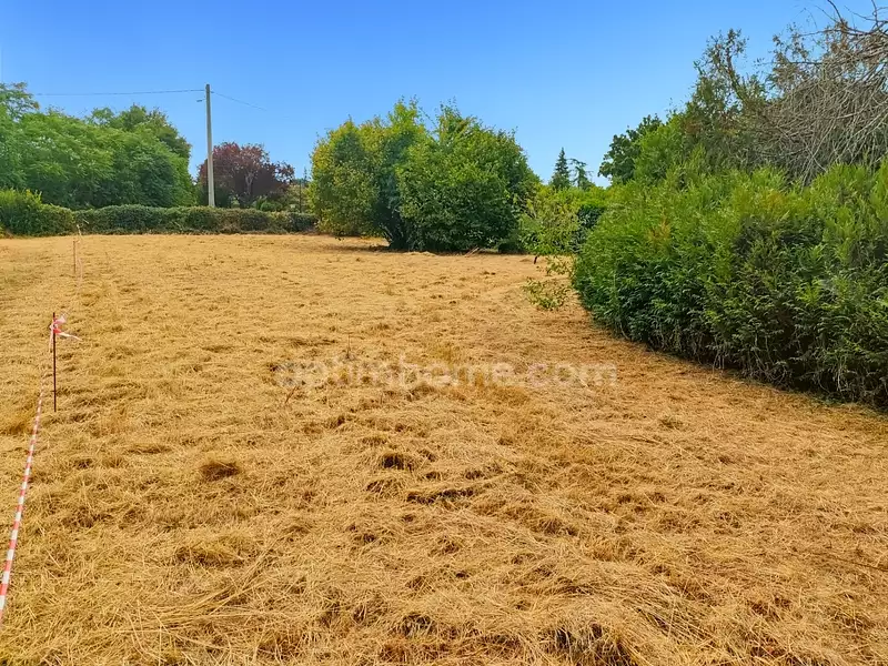 Terrain, 1 203 m²