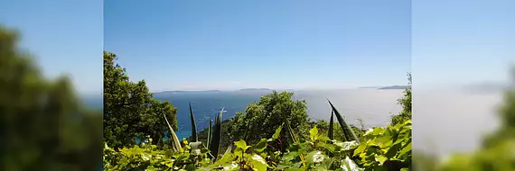 Cap Nègre Immobilier