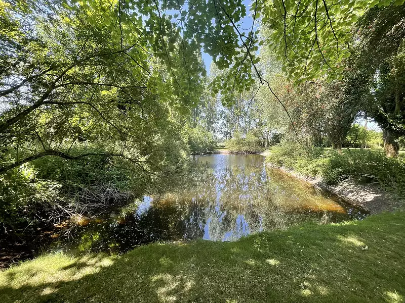 Terrain, 6 900 m²
