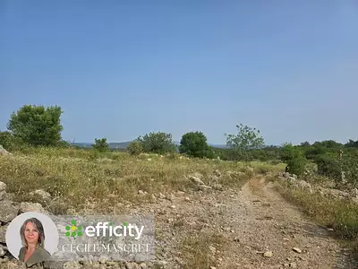 Terrain, 32 000 m²