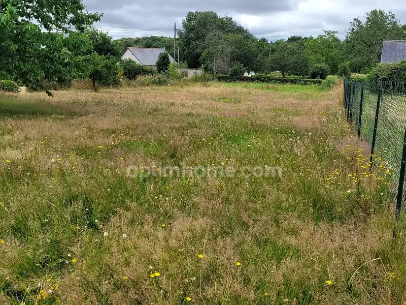 Terrain, 1 274 m²