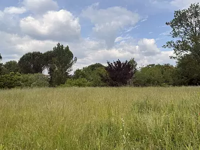Terrain, 2 186 m²