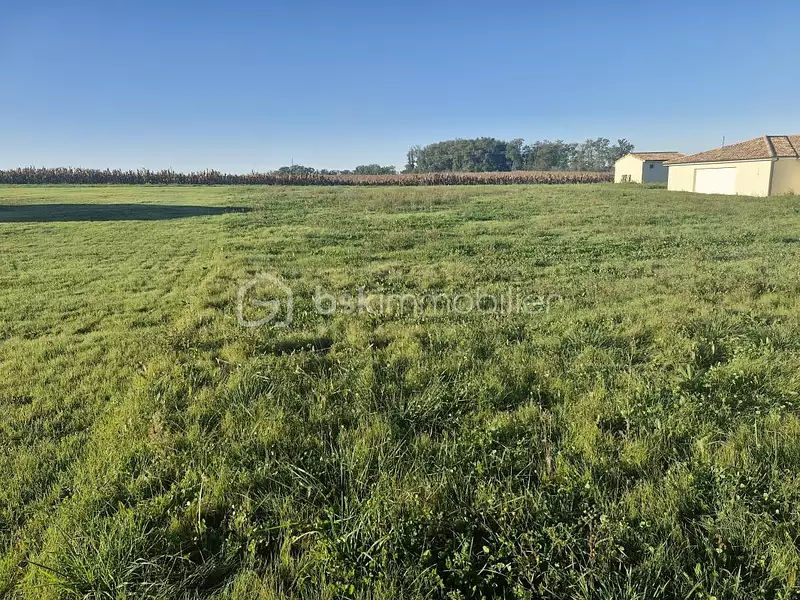 Terrain, 1 664 m²
