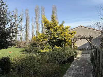 Maison, 530 m²