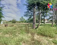 Terrain, 2 675 m²