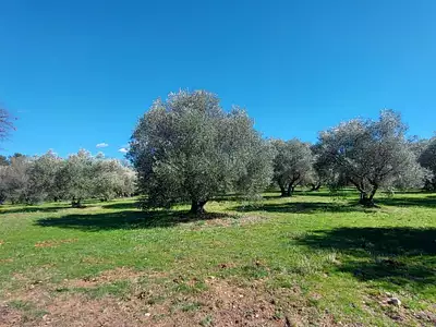 Maison, 230 m²