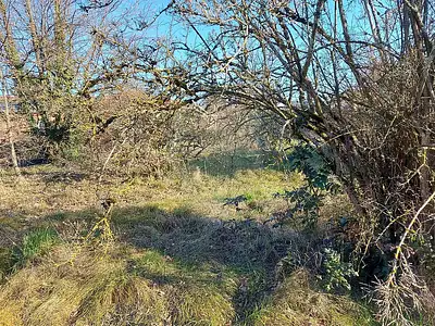 Terrain, 960 m²