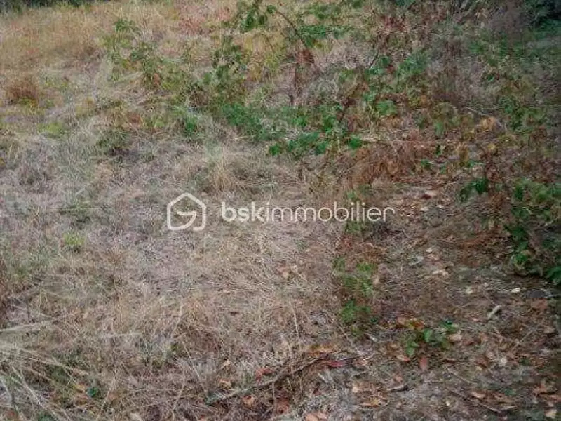 Terrain, 320 m²