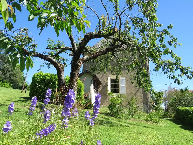 Maison, 250 m²