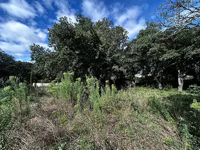 Terrain, 1 200 m²