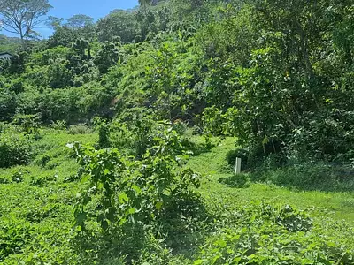 Terrain, 895 m²