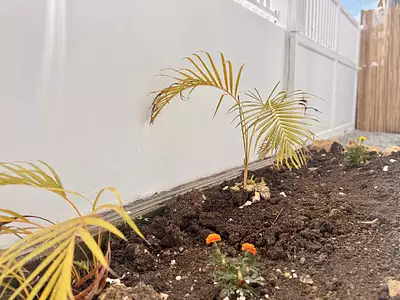 Maison, 80 m²