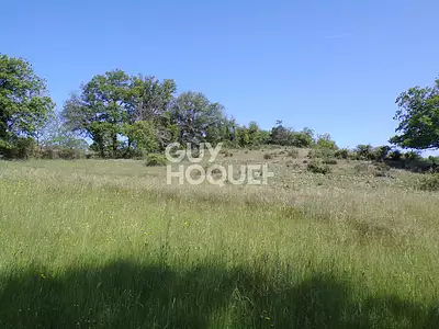 Terrain, 7 042 m²