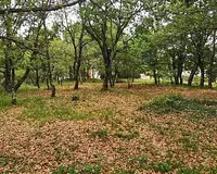Terrain, 720 m²