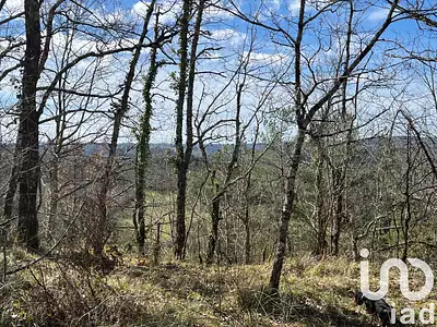 Terrain, 7 678 m²