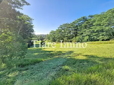 Terrain, 800 m²