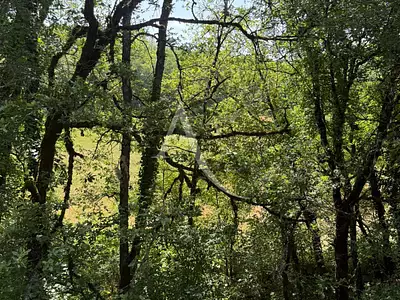 Terrain, 2 260 m²