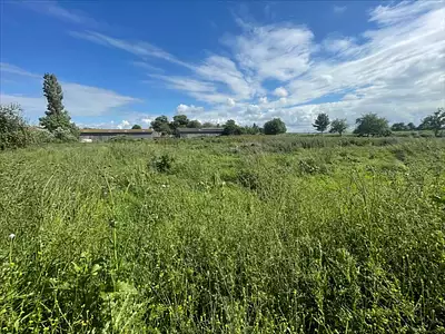Terrain, 891 m²