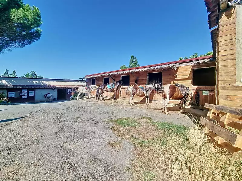 Maison, 250 m²