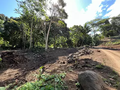 Terrain, 1 136 m²
