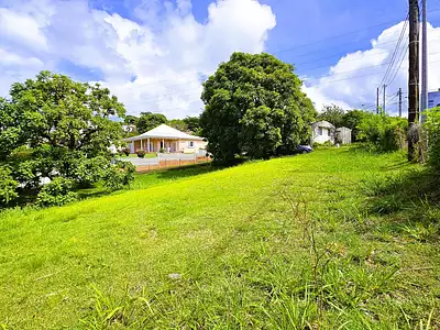 Terrain