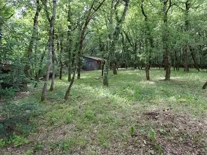 Maison, 140 m²