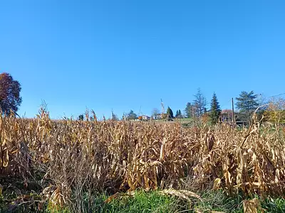 Terrain, 3 188 m²