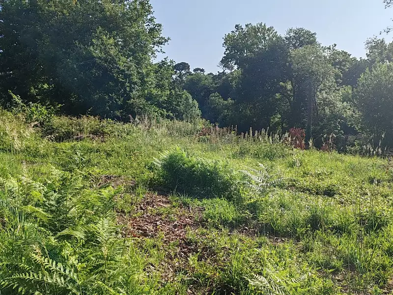 Terrain, 1 730 m²