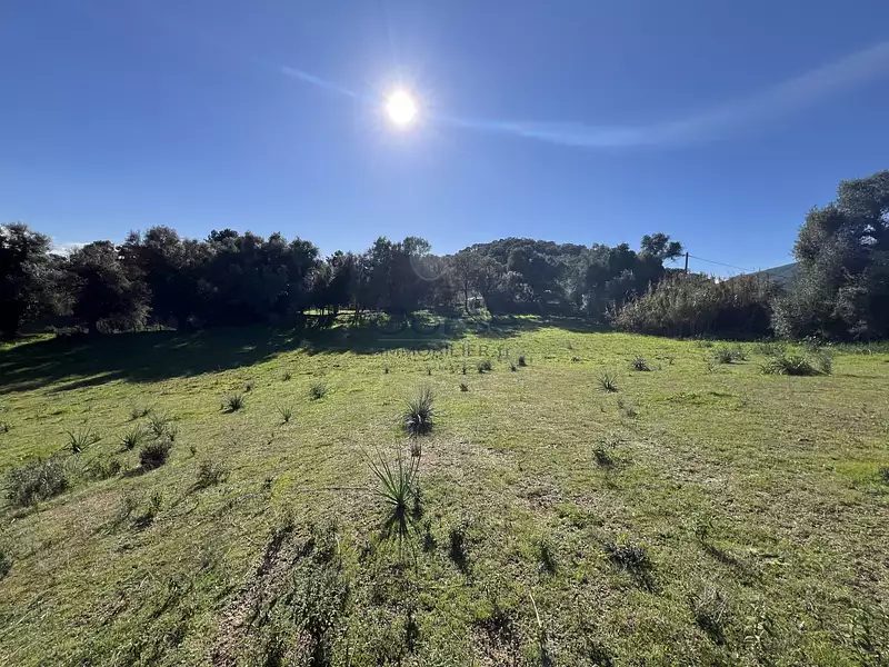 Terrain, 1 000 m²