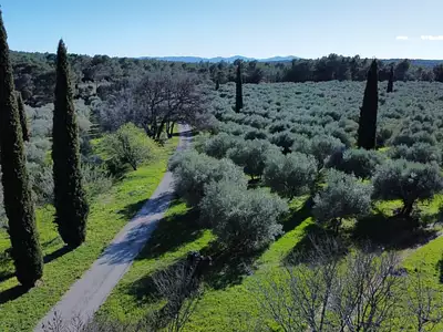 Maison, 230 m²