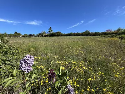 Terrain, 1 529 m²