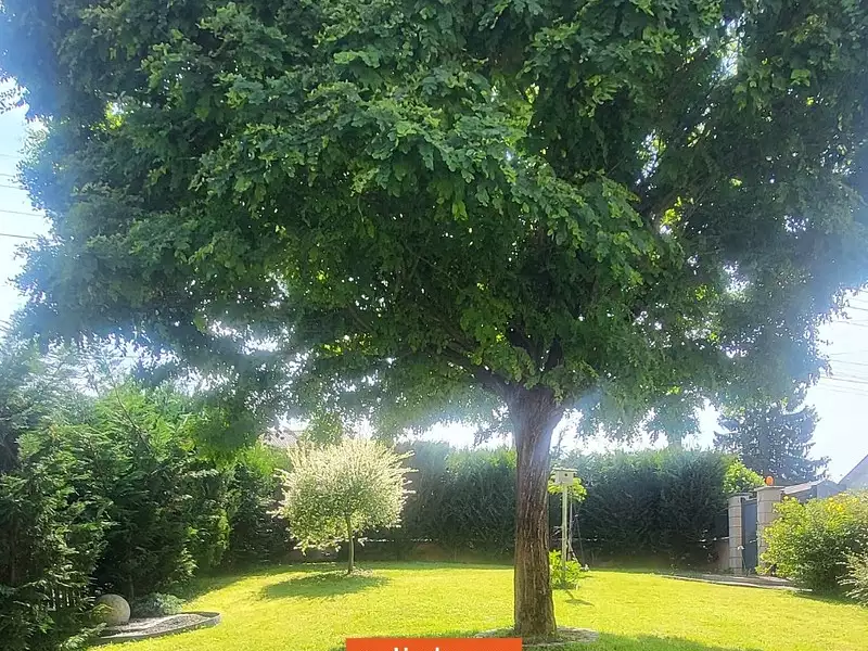 Maison, 94 m²