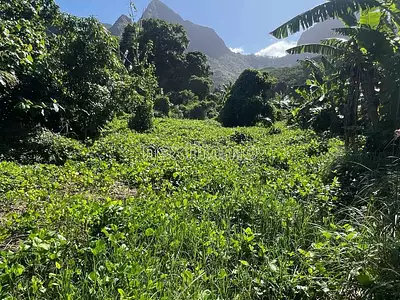 Terrain, 1 650 m²