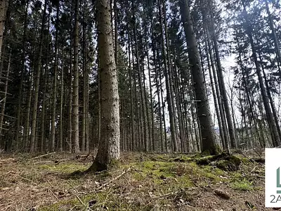 Terrain, 2 023 m²