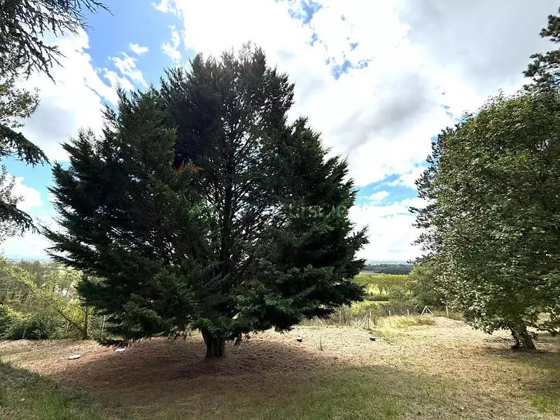 Maison, 125 m²