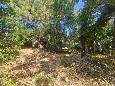 Terrain, 950 m²