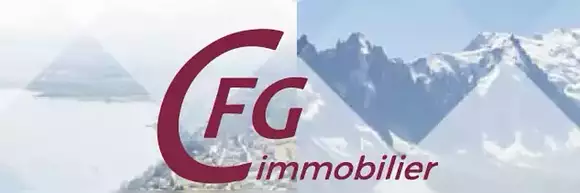 CFG Immobilier