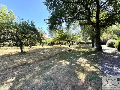 Terrain