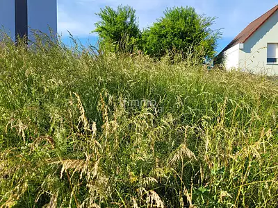 Terrain, 971 m²