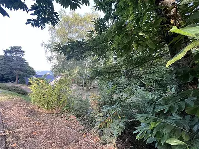 Terrain, 22 176 m²