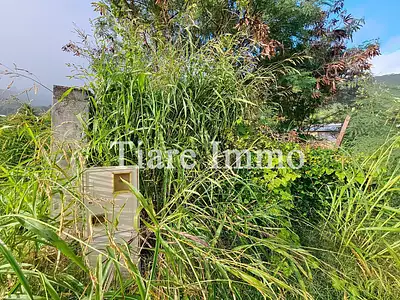 Terrain, 901 m²